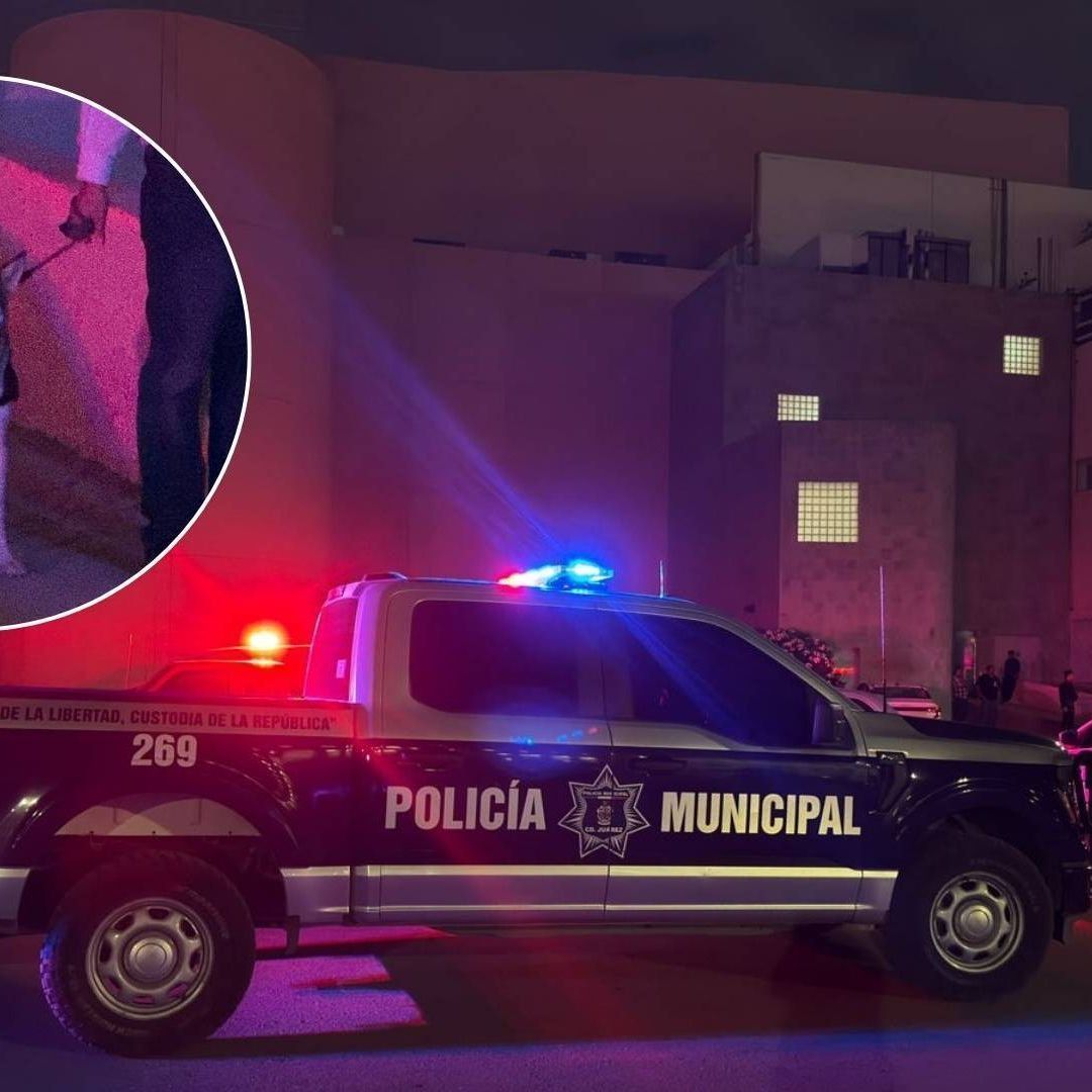 Un niño resultó lesionado tras ser atacado por un perro Husky